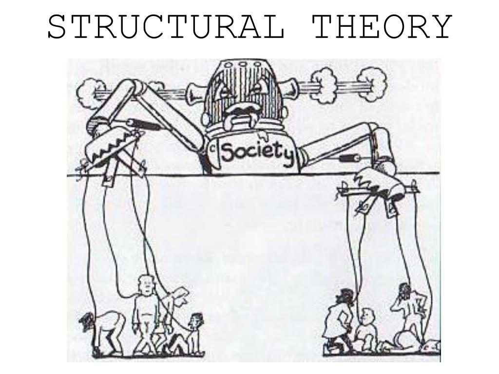 structural functional theory focuses on
