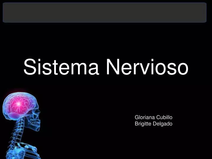 Ppt Sistema Nervioso Powerpoint Presentation Free Download Id2263645 3874