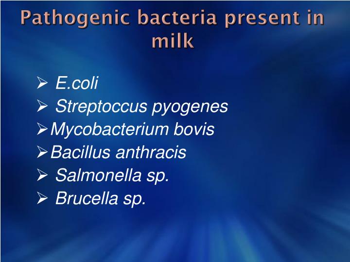 PPT Bacteriological Examination of water, milk and air PowerPoint