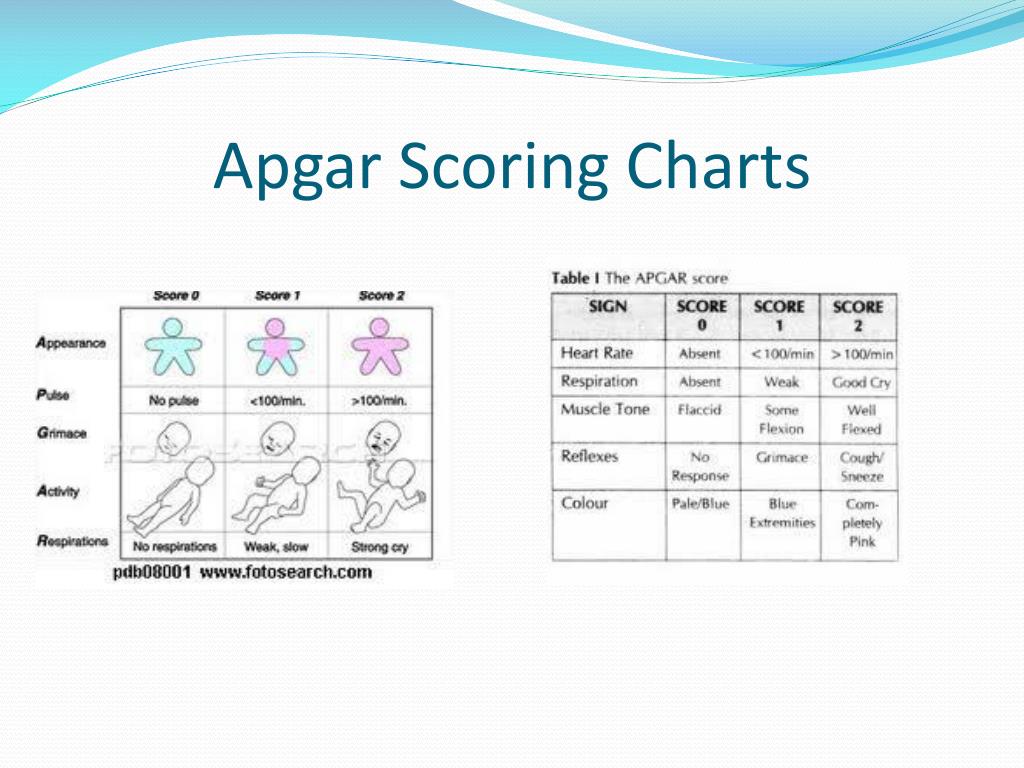 Apgar Score Chart