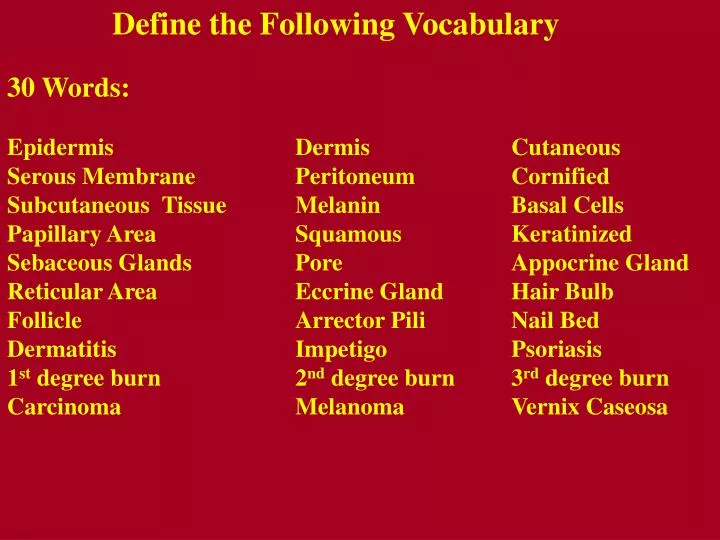 PPT Define The Following Vocabulary PowerPoint Presentation Free 