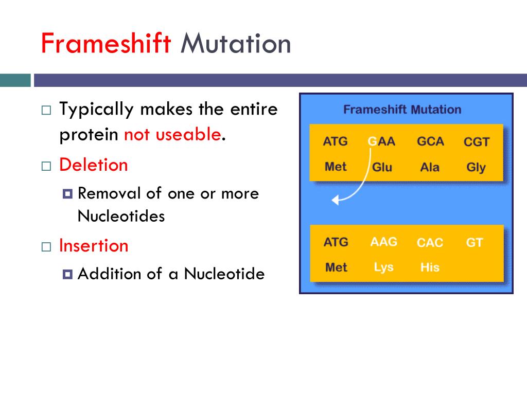 PPT RNA PowerPoint Presentation, free download ID2266214
