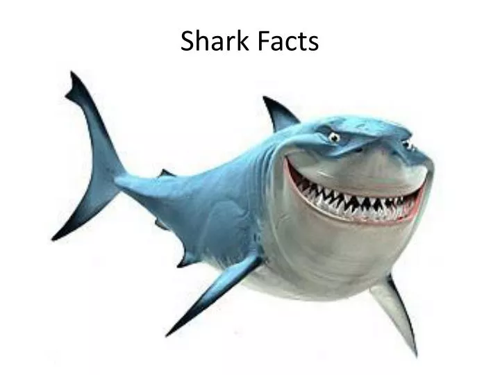 PPT Shark Facts PowerPoint Presentation Free Download ID 2266639