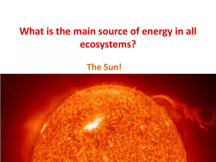 what is the main source of energy in your body