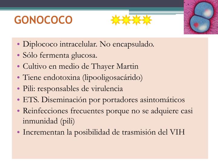 Buy amoxicillin for gum infection
