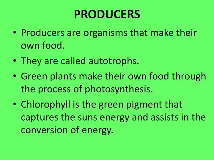 PPT PRODUCERS, CONSUMERS, PowerPoint Presentation ID