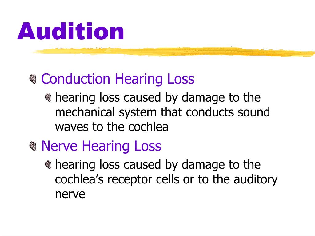 audition psychology definition audition psychology definition