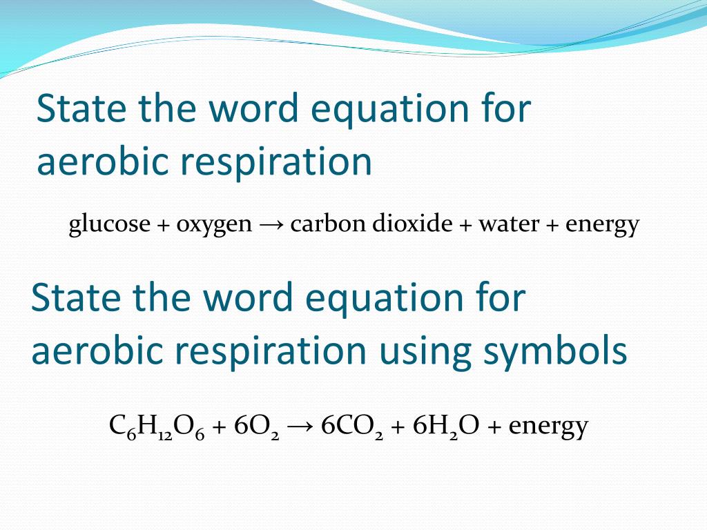 Word And Symbol Equation For Aerobic Respiration