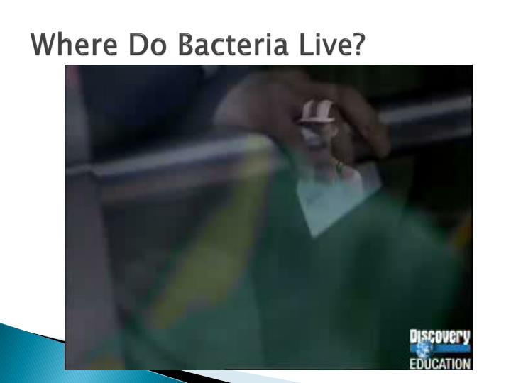 PPT Bacteria PowerPoint Presentation ID2267292