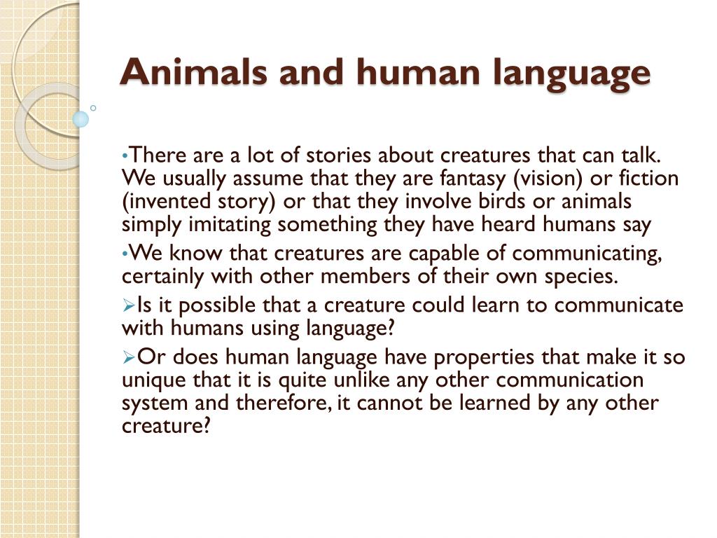 PPT - Animals and human language PowerPoint Presentation, free download -  ID:2267485