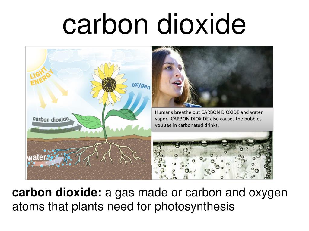 ppt-carbon-dioxide-powerpoint-presentation-free-download-id-2268223