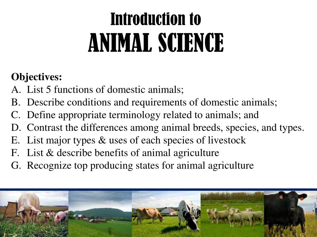 research topics on animal science