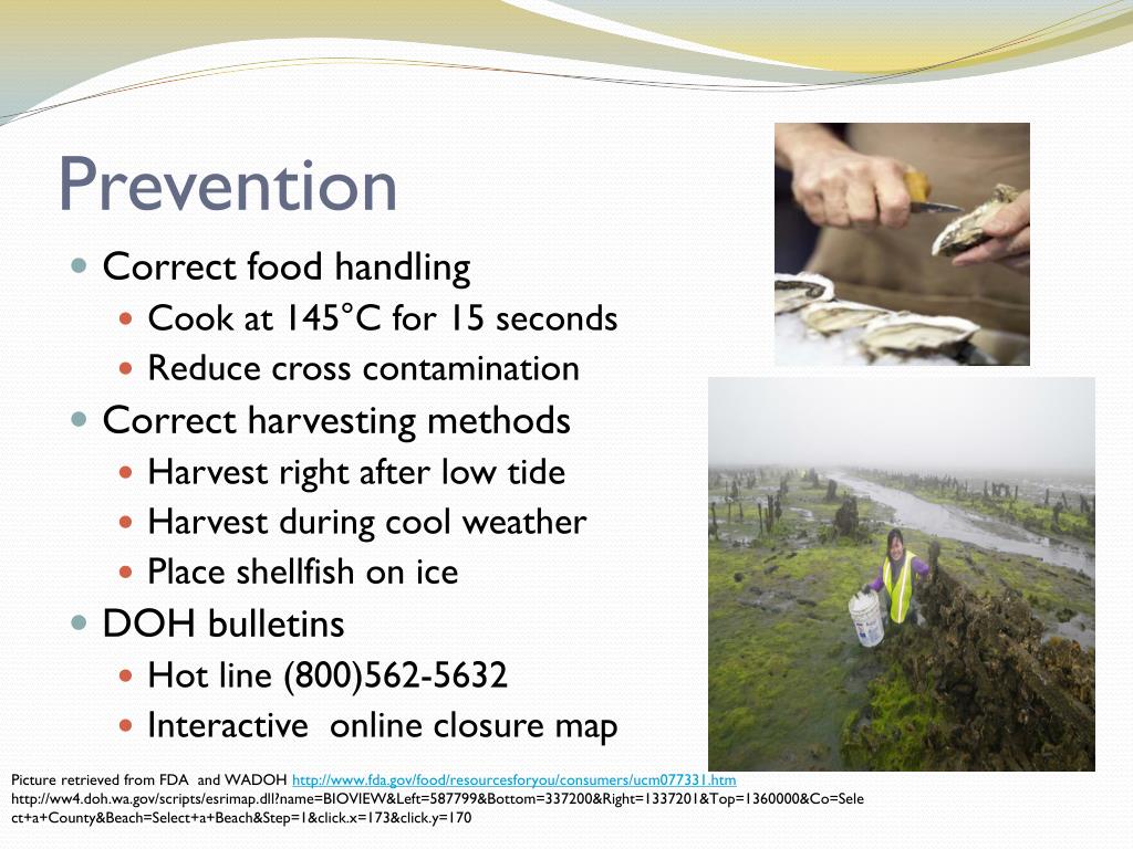 PPT Shellfish Food Poisoning and Prevention Vibrio parahaemolyticus