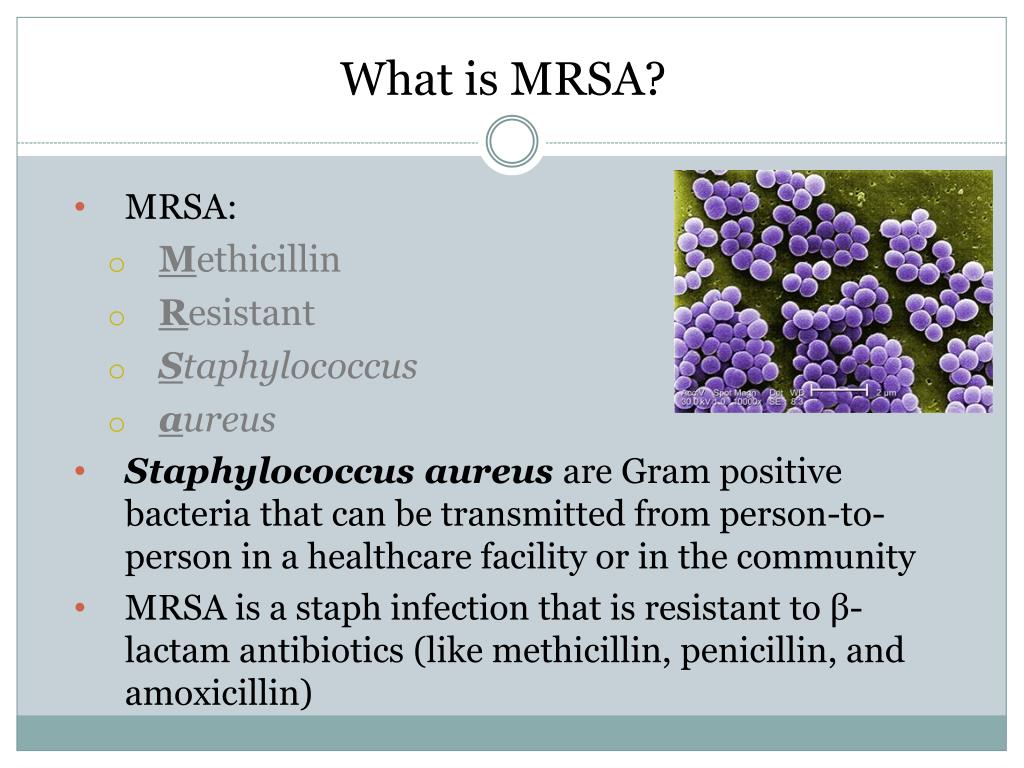 PPT MultiDrug Resistant Organisms (MDROs) in Michigan PowerPoint