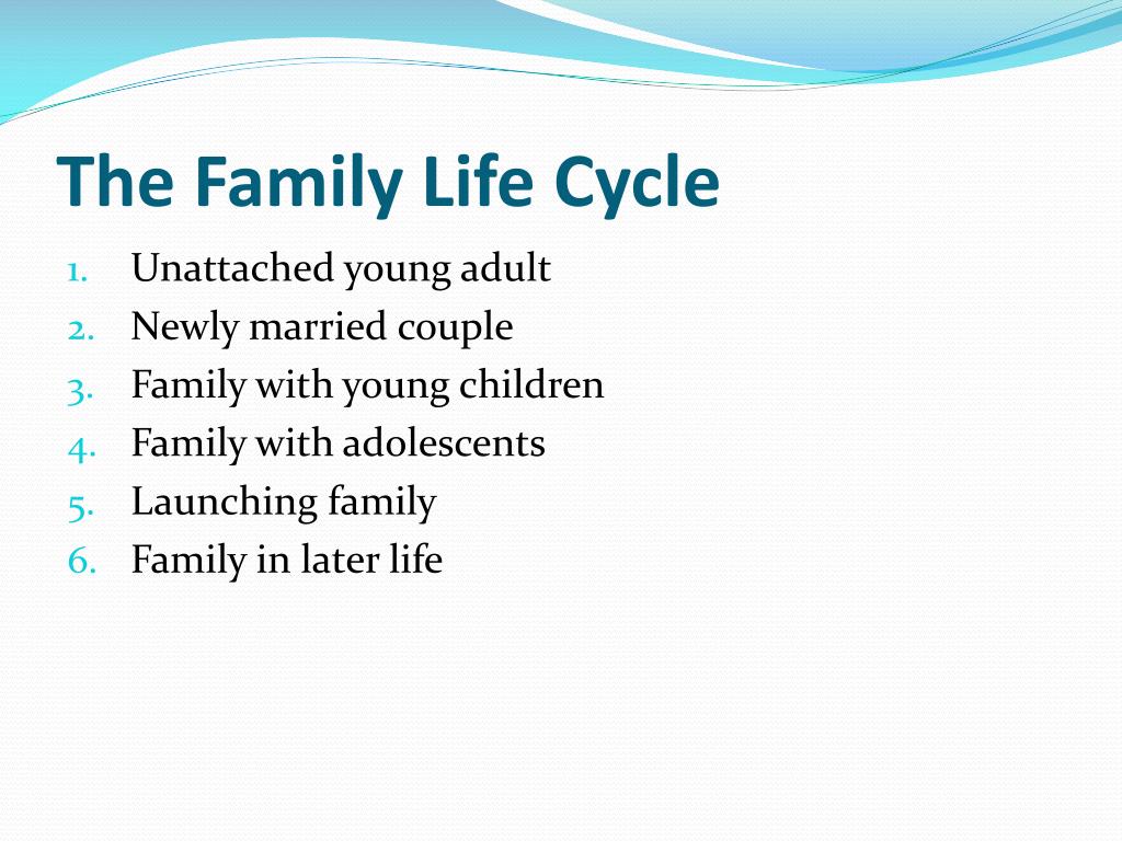 PPT - THE FAMILY PowerPoint Presentation, free download - ID:2270007