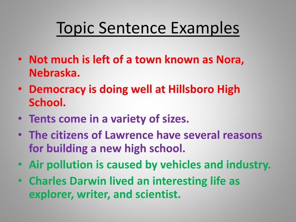Topic Sentence Examples Worksheets