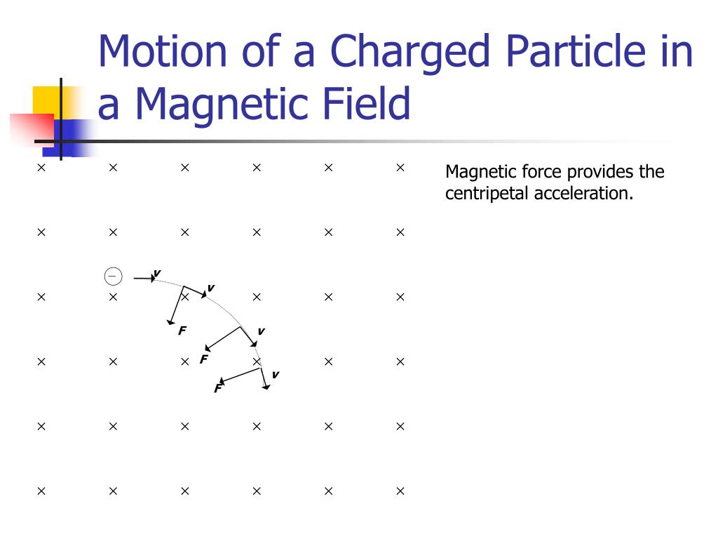 PPT - CH 8: Magnetic Fields PowerPoint Presentation, free download - ID ...