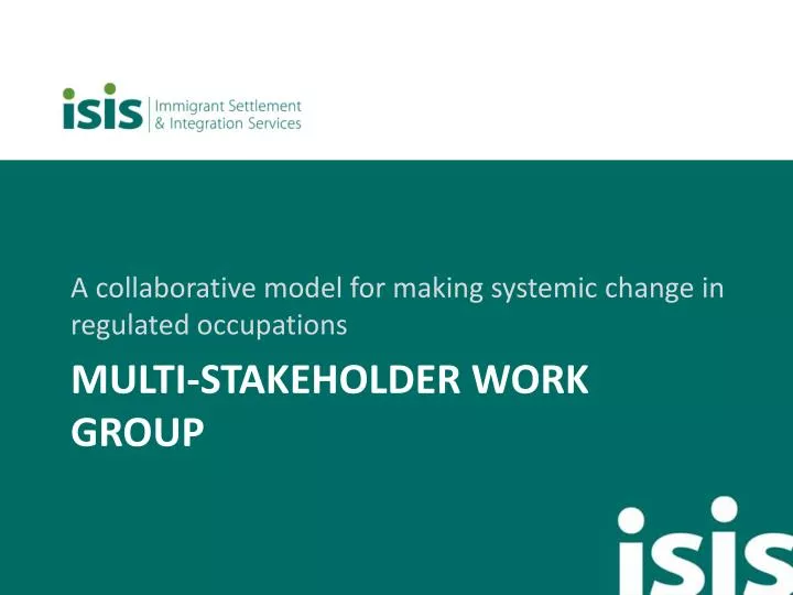 multi stakeholder work group n.