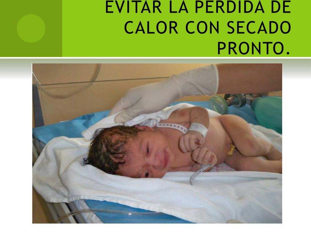 PPT - REANIMACIÓN NEONATAL Y CUIDADOS DEL RECIÉN NACIDO. PowerPoint