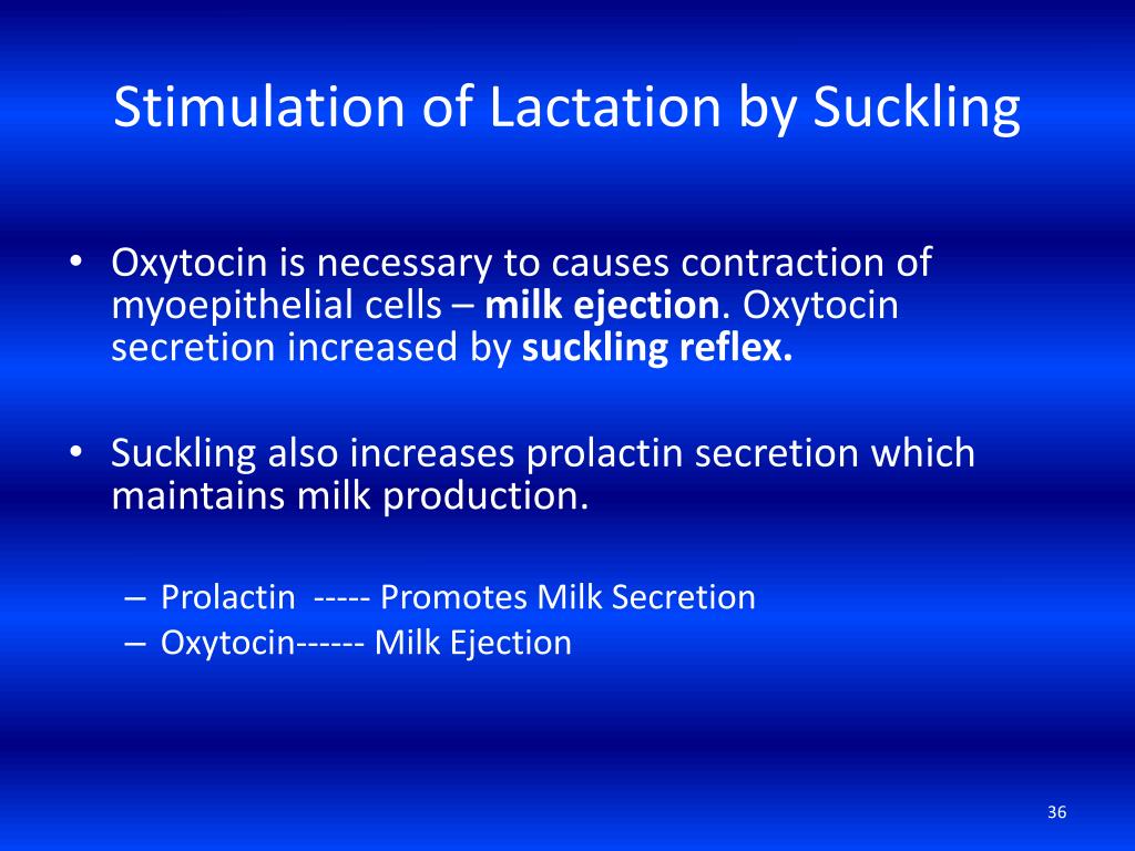 PPT - Pregnancy and Lactation PowerPoint Presentation, free