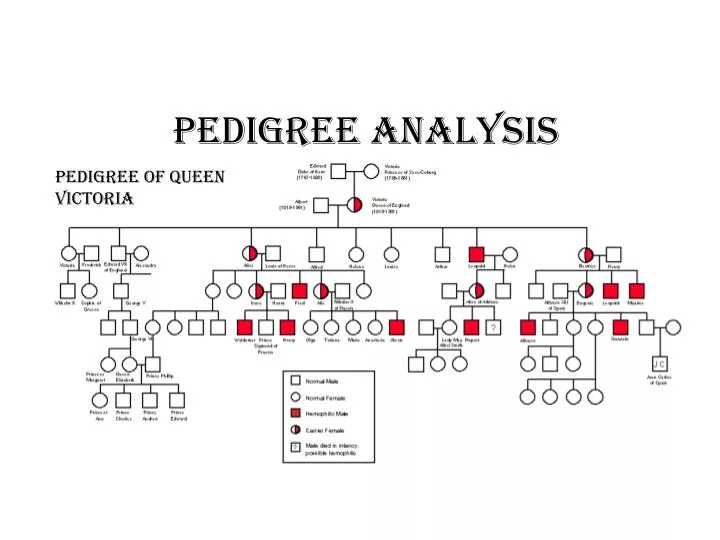 PPT - Pedigree Analysis PowerPoint Presentation, free download - ID:2271913