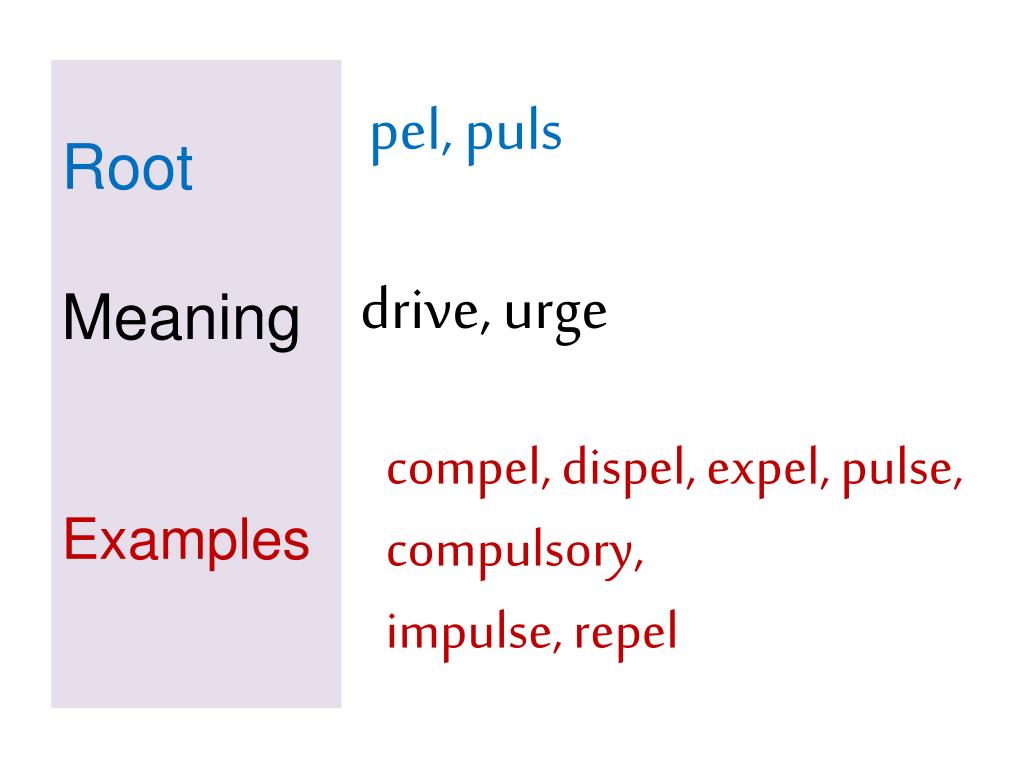 assignment root meaning