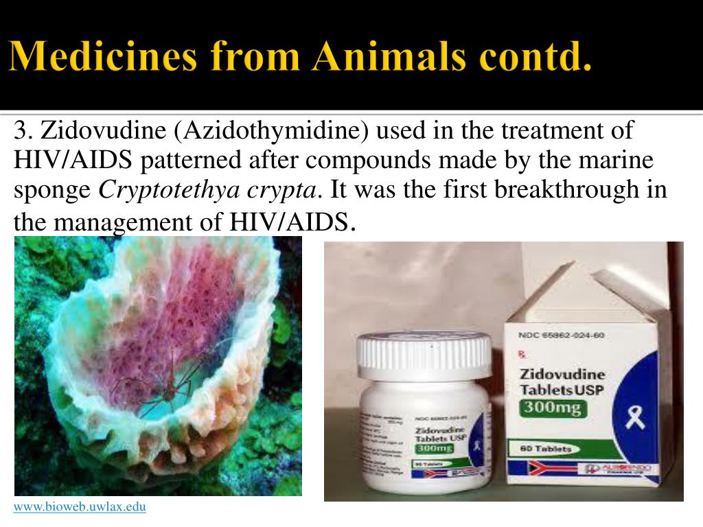 PPT Biodiversity and Availability of Medicines By Isma’eel Umar Yunus