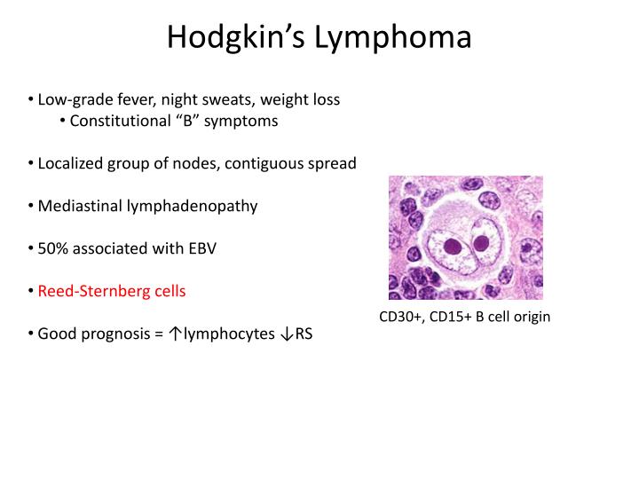 PPT - 2014 Step 1 Review Oncology PowerPoint Presentation - ID:2272693