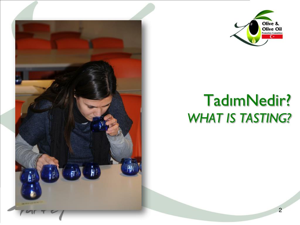 ppt-zeytinya-tad-m-olive-oil-tasting-mr-mustafa-alhat-kas-m2010-november-2010-powerpoint