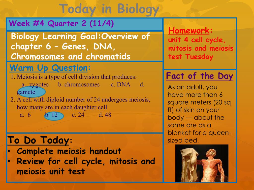 Ppt Week 4 Quarter 2 11 4 Powerpoint Presentation Free Download Id 2273860