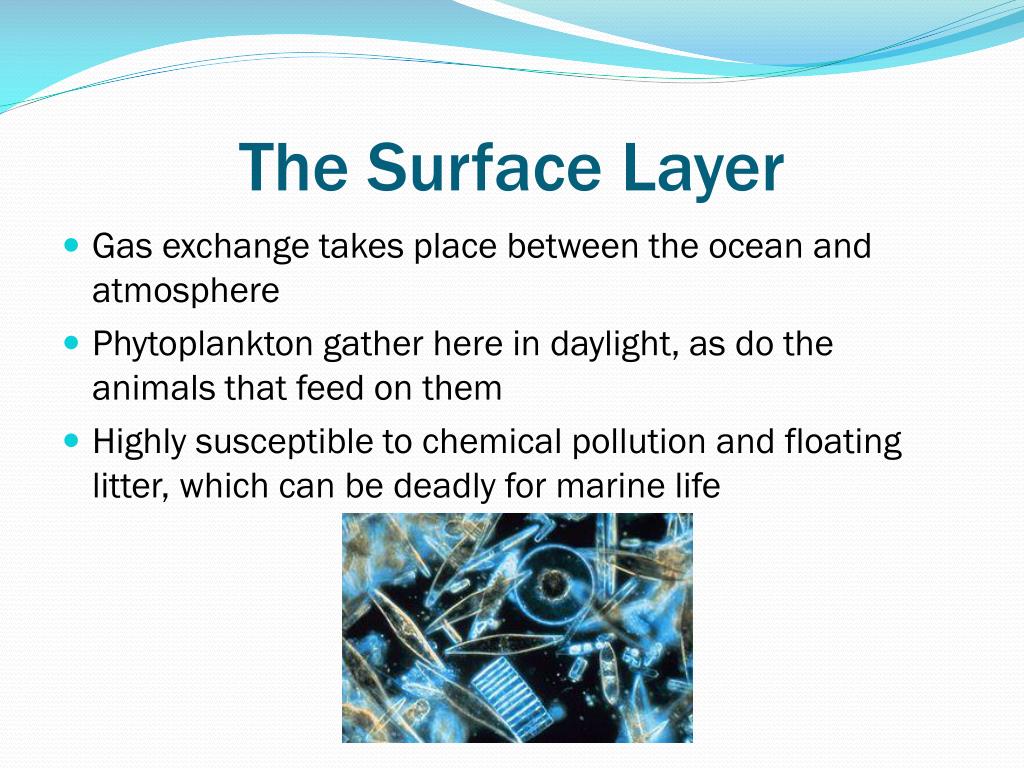 PPT - Zones of the Open Ocean PowerPoint Presentation ...
