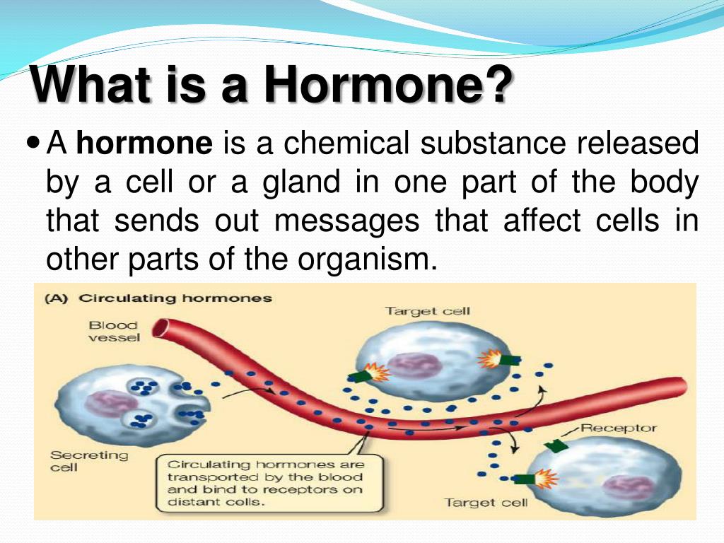 presentation on topic hormones