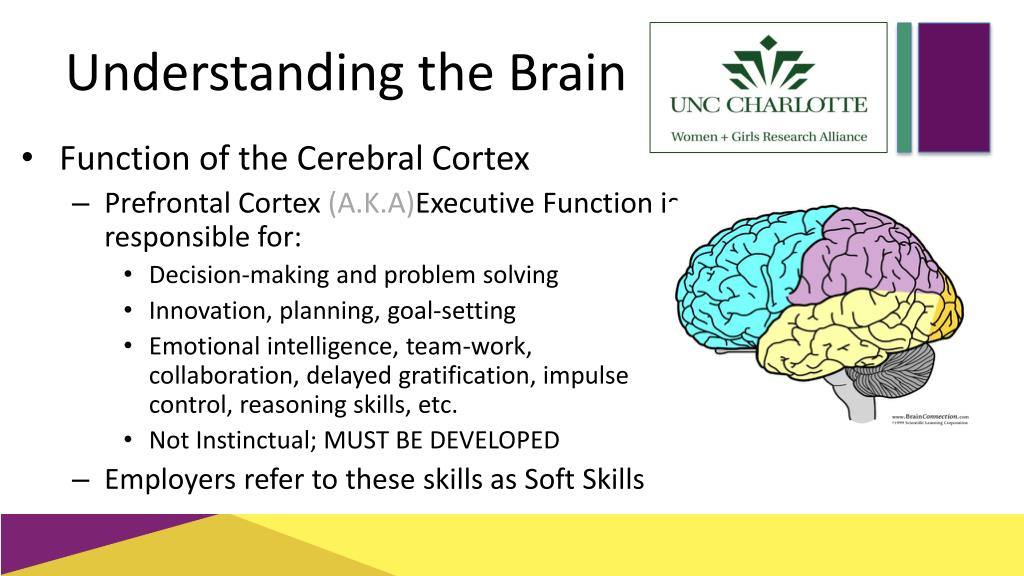 PPT - Empowering Parenting: Understanding the Brain for Success ...
