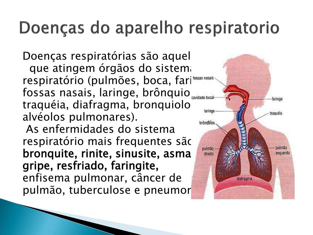 Cartilha sobre o sistema respiratório e a asma