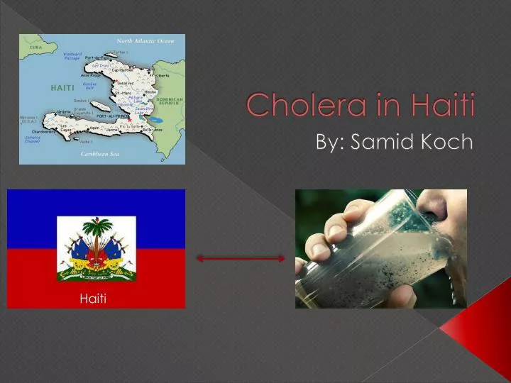 cholera in haiti n.