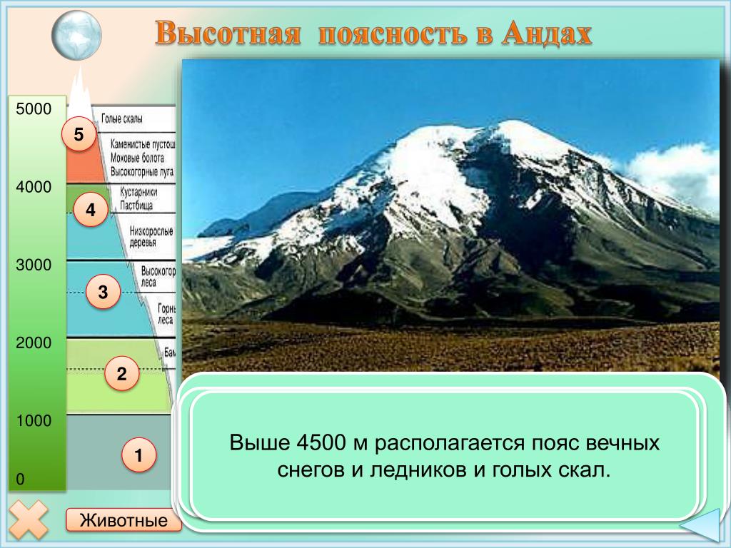 Средняя абсолютная высота гор анды. Патагонские Анды Высотная поясность. Высотная поясность в Андах 7 класс. Высотная поясность в Андах на карте. Высотная поясность в горах.