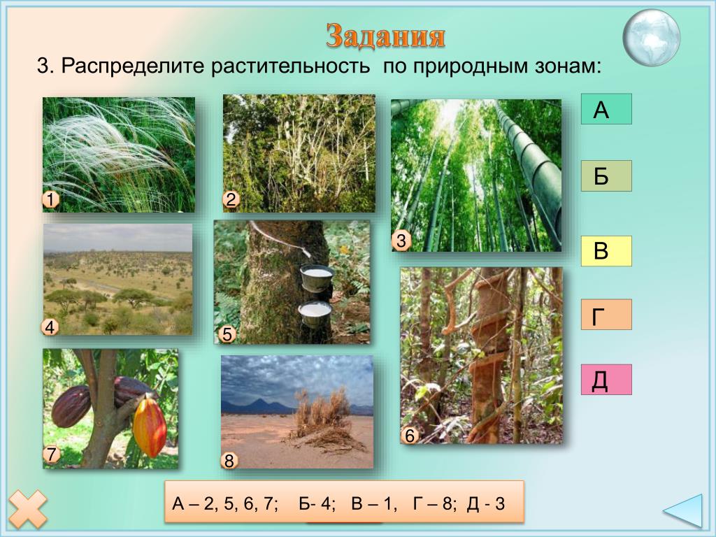Тест по теме природные зоны 1 вариант. Природные зоны задания. Задание по природным зонам России. Распредели животных по природным зонам. Растительность по природным зонам.