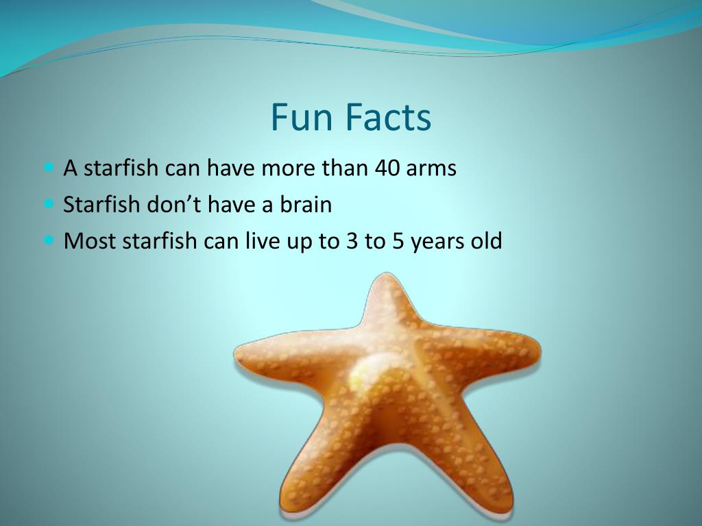 A starfish can have more than 40 arms * Starfish don’t have a brain * Most starfish...