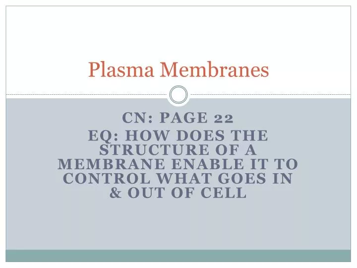 PPT - Plasma Membranes PowerPoint Presentation, free download - ID:2276970