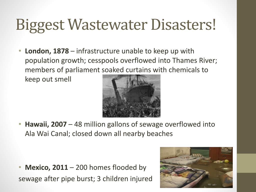 PPT RPI EcoEd making connections k12 students + teachers