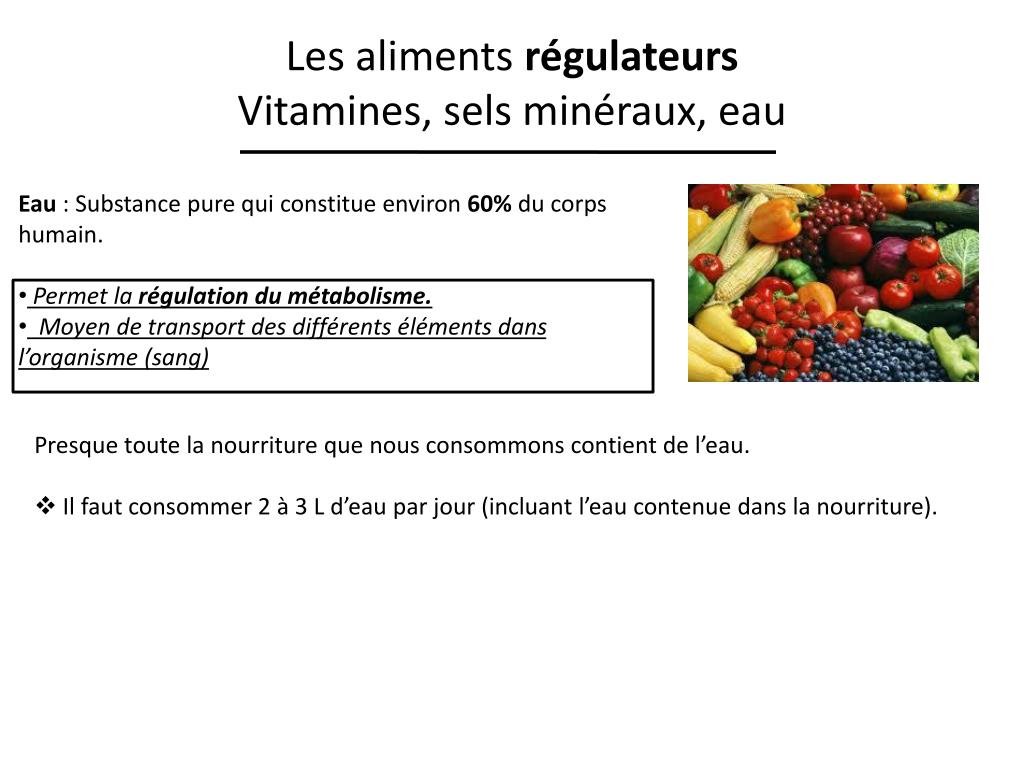 PPT - Chapitre 2. Univers Vivant PowerPoint Presentation, free download -  ID:2278020