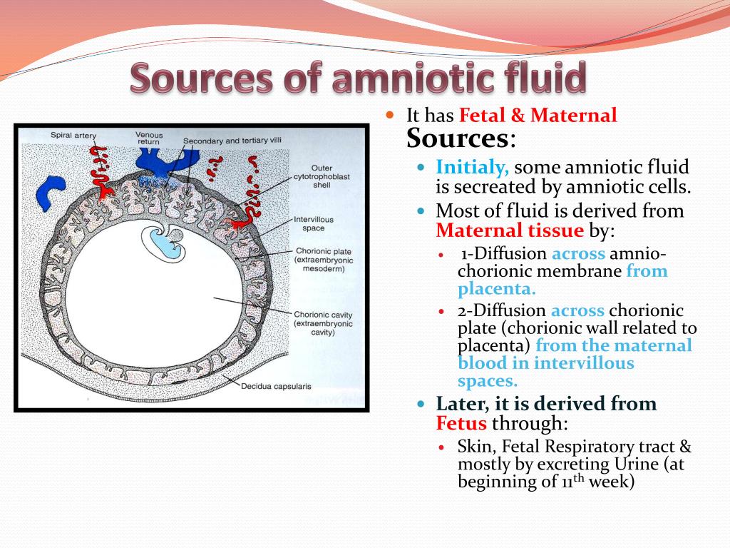 amniotic fluid images amniotic fluid images
