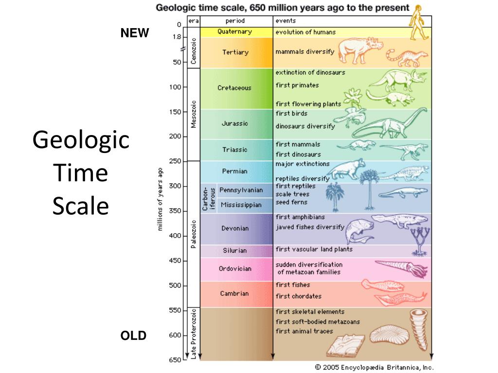 Эпохи и эры земли. Геохронологическая шкала докембрия. Geologic time Scale. Геохронологическая шкала таблица. Шкала геологического времени.