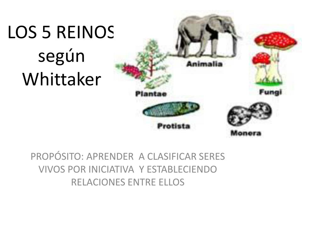 PPT - LOS 5 REINOS según W hittaker PowerPoint Presentation, free download  - ID:2280009