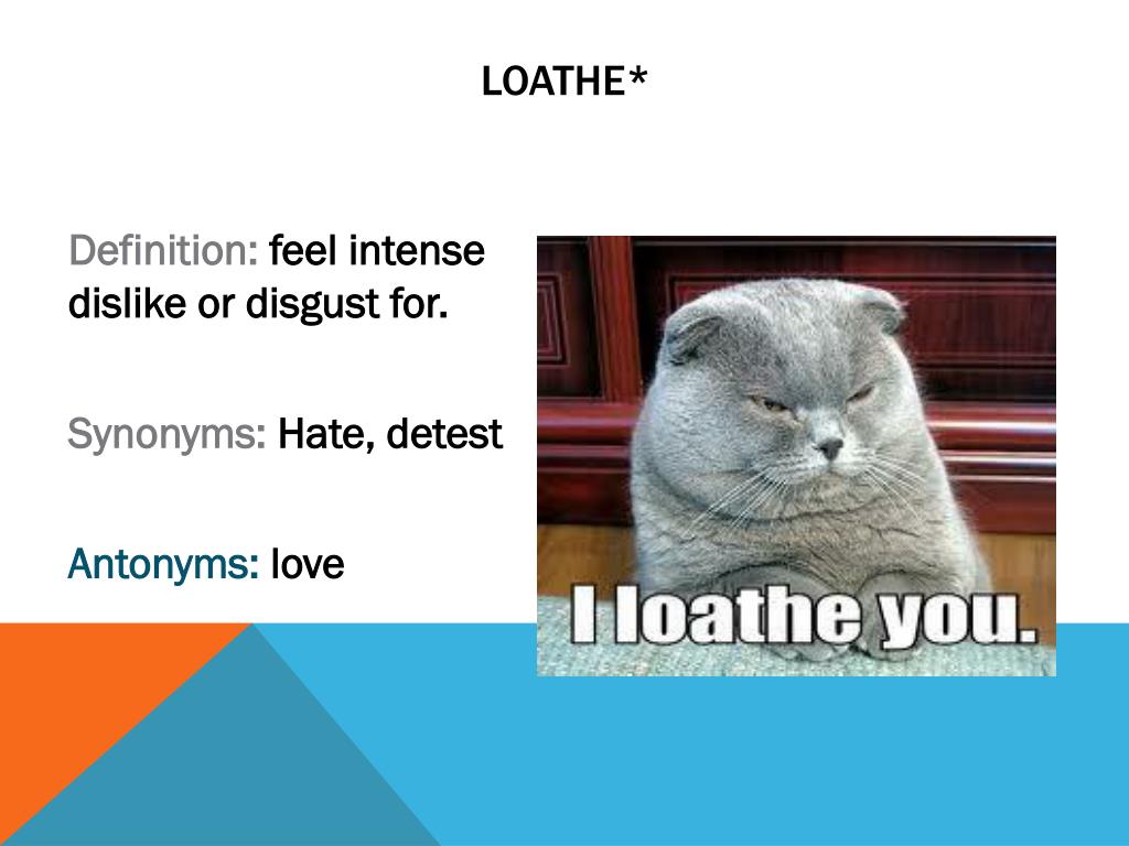 loath to love you