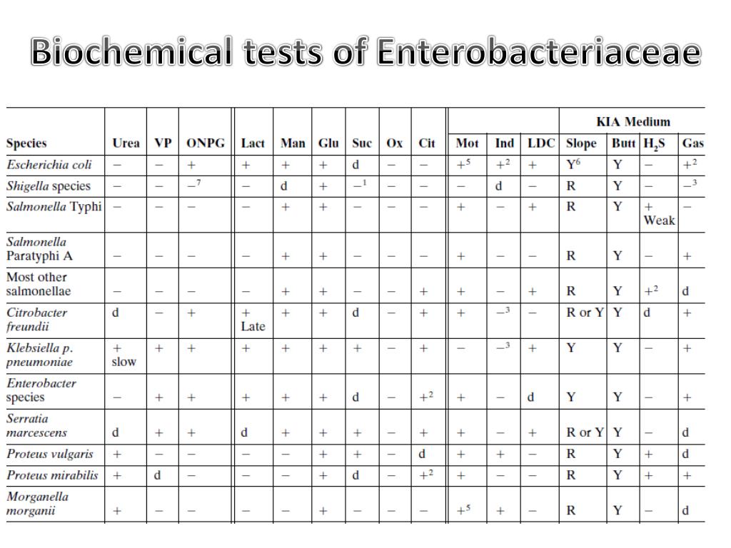Flow Chart For Enterobacteriaceae