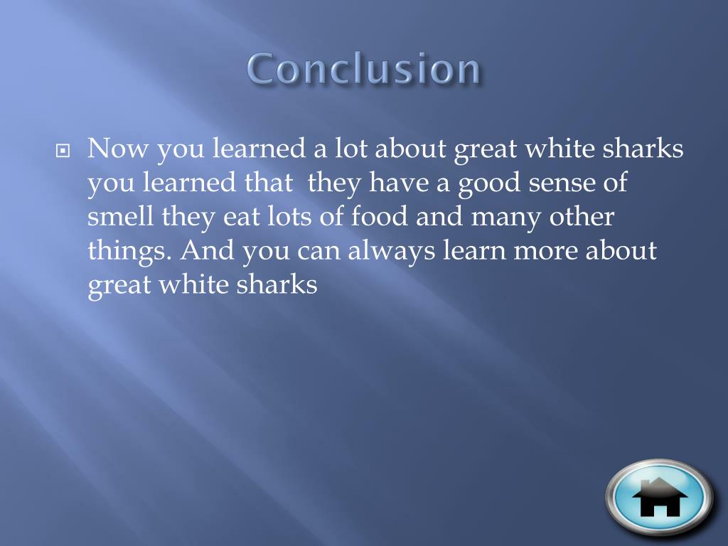 great white shark essay conclusion