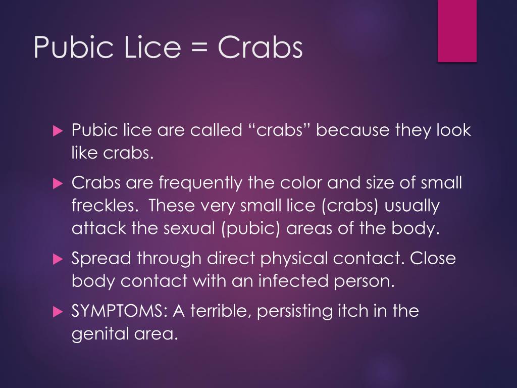 PPT Sexually Transmitted Diseases and HIV/AIDS PowerPoint
