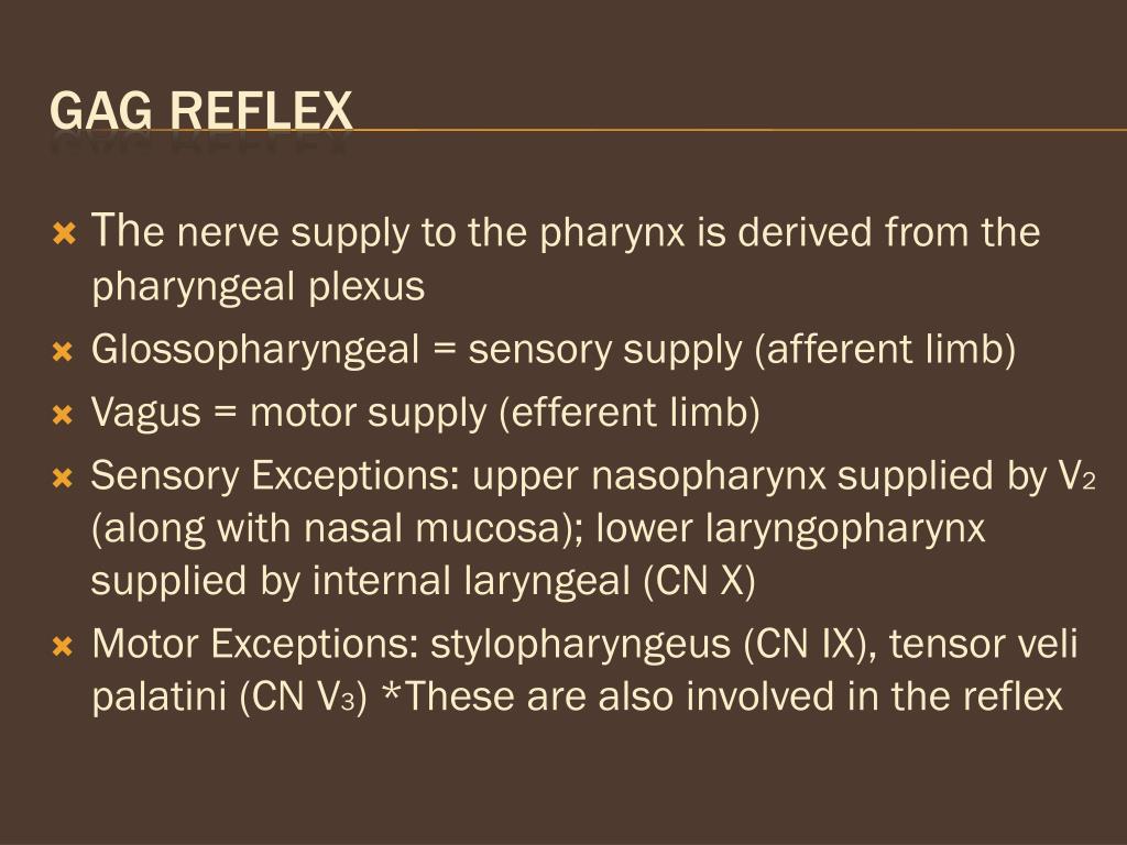 gag reflex nerve cut gag reflex nerve cut