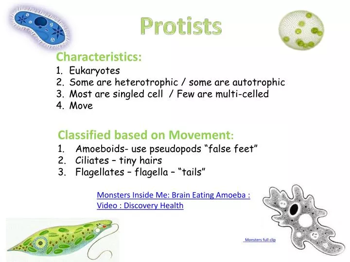 Ppt Monsters Inside Me Brain Eating Amoeba Video Discovery Health Powerpoint Presentation 4366